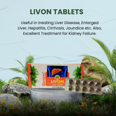 Ayurvedic Medicine for Liver Cleansing - Gotirth Livon Tablets 4*10 tablets