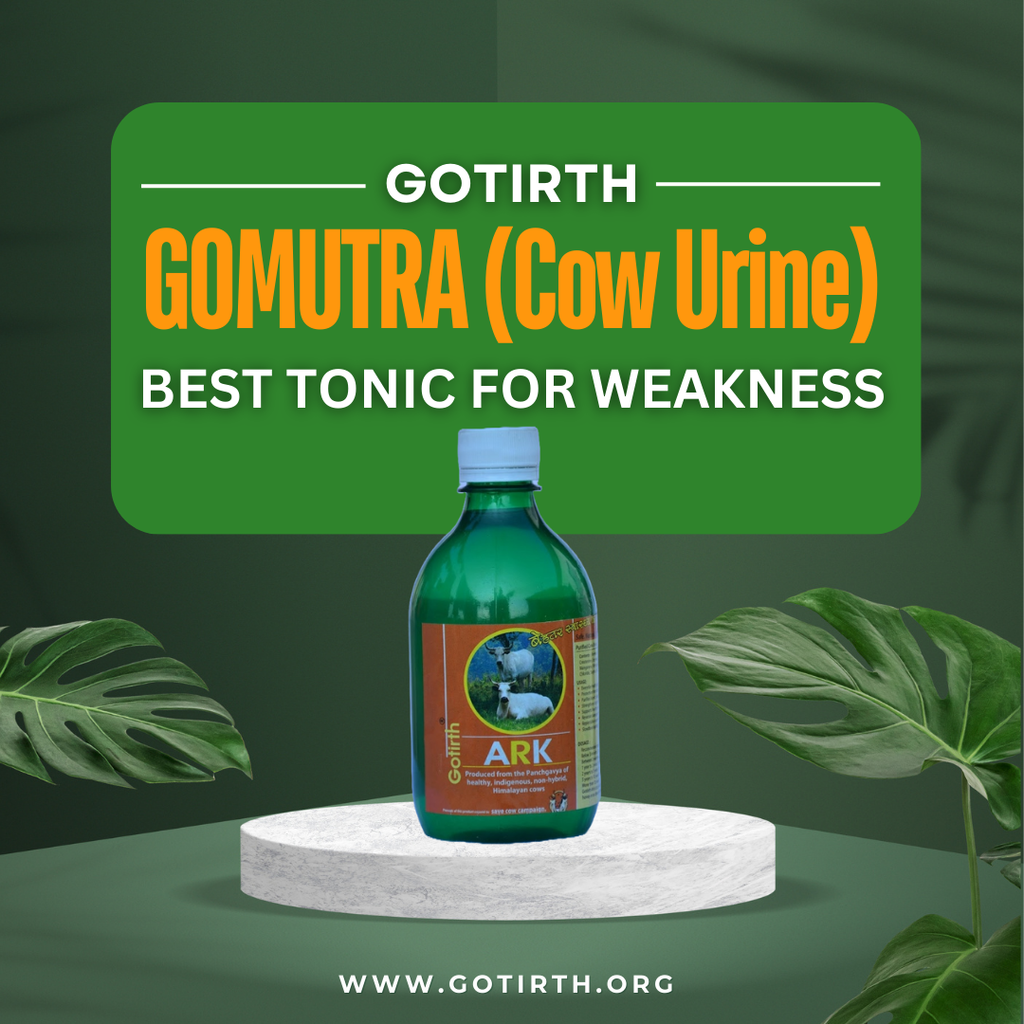 Gotirth Go ARK - Best Tonic for Weakness in India